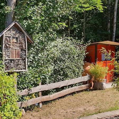 Ferienhaus Am Wald Ronshausen Ngoại thất bức ảnh