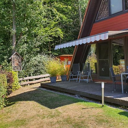 Ferienhaus Am Wald Ronshausen Ngoại thất bức ảnh