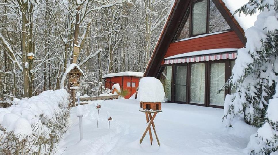 Ferienhaus Am Wald Ronshausen Ngoại thất bức ảnh