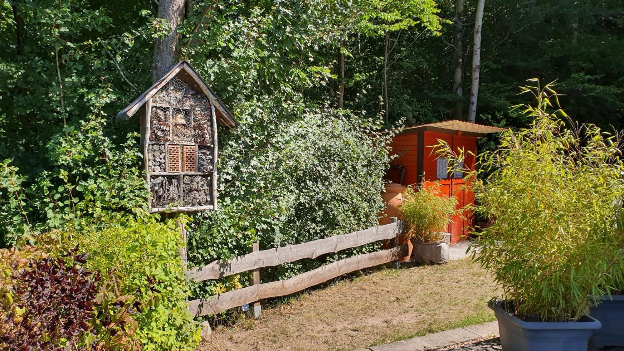 Ferienhaus Am Wald Ronshausen Ngoại thất bức ảnh